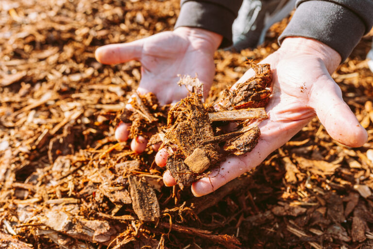 mulch installation