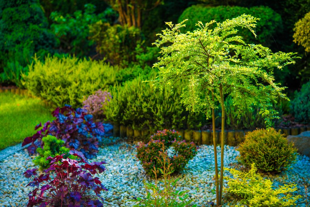 garden planting small places